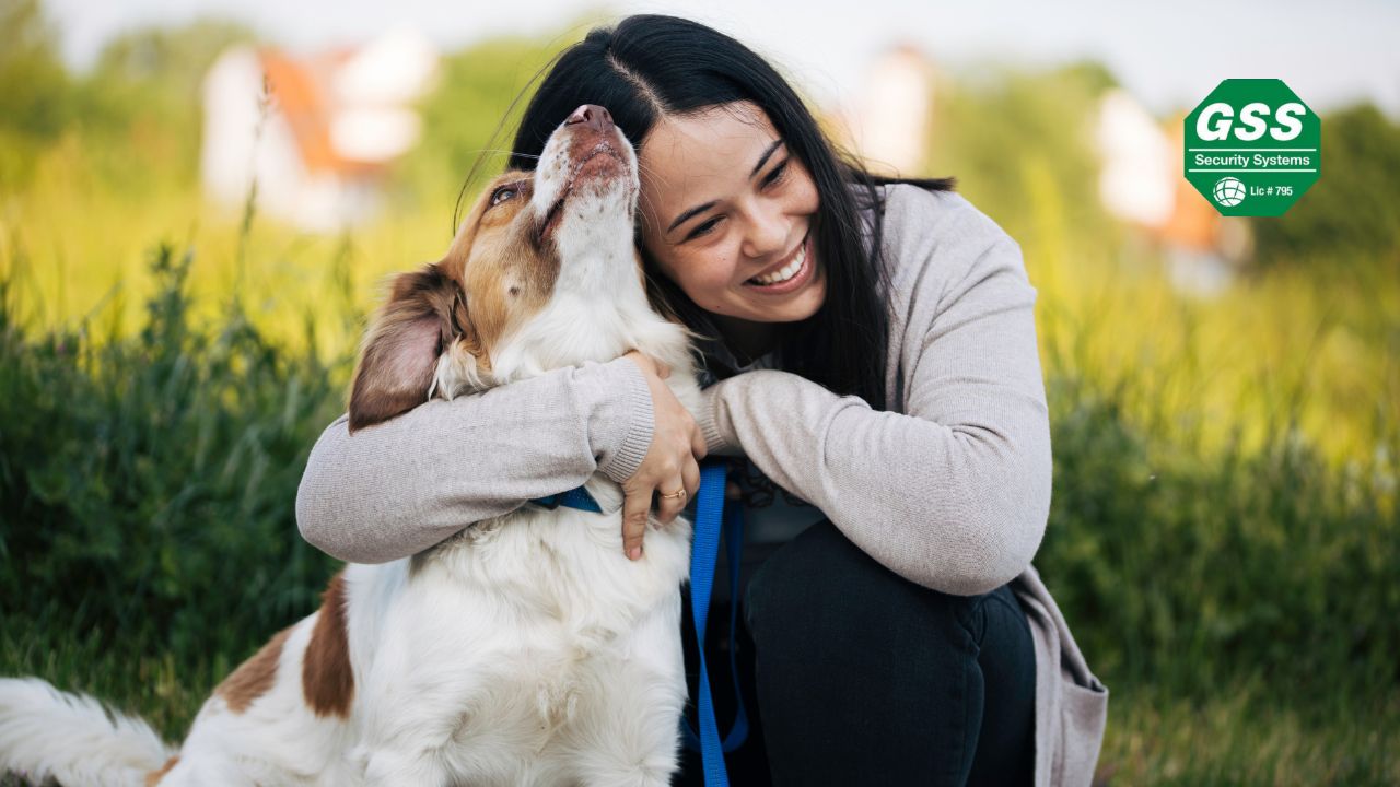 Pet emergency preparedness essentials for safety
